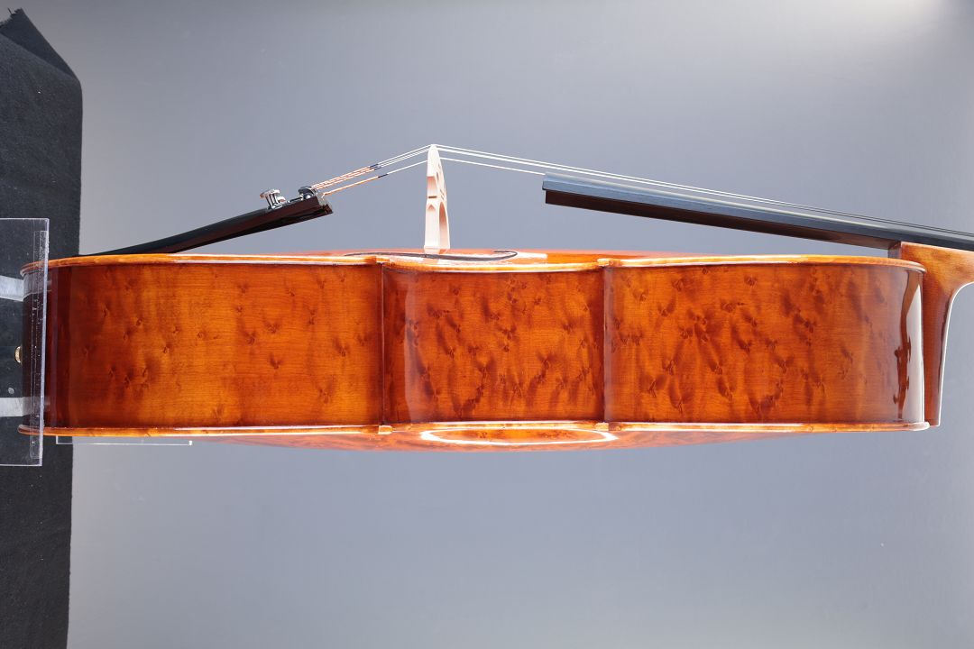 Leonhardt Rainer W. - Mittenwald Anno 2025 - Guadagnini - wild birds-eye - C-426